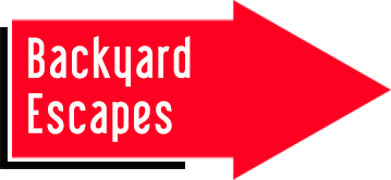 BACKYARD ESCAPES Arrow Button