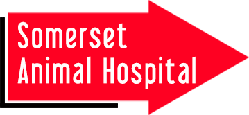 Somerset Animal Hospital
